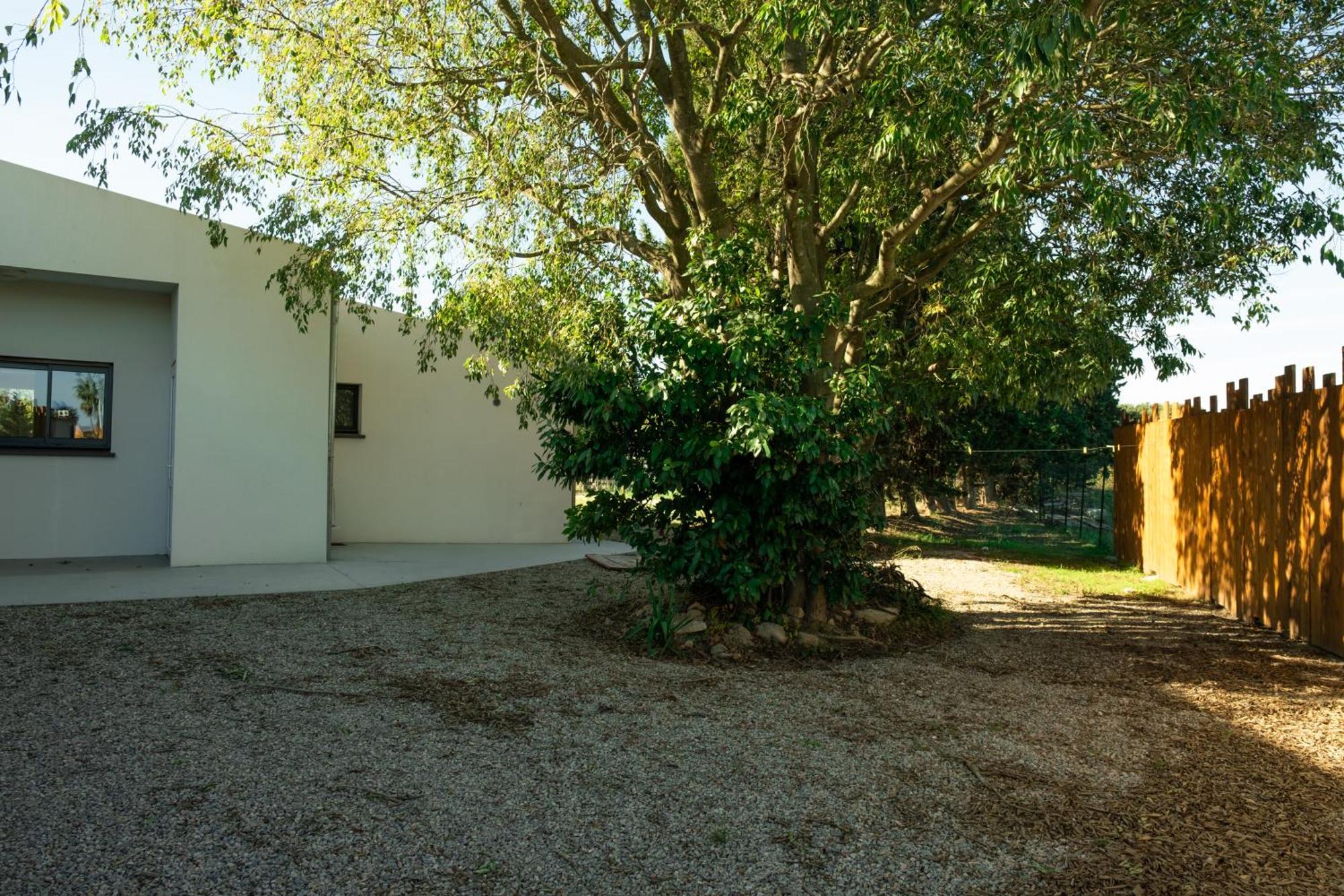 Domaine Saint Thomas Villa Argelès-sur-Mer Exteriör bild